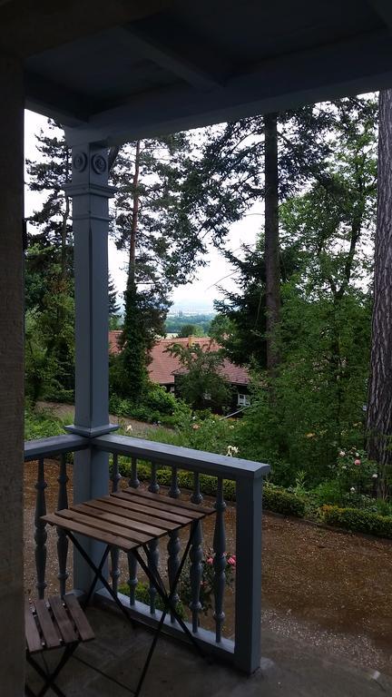 Villa Im Park Wachwitzgrund เดรสเดน ภายนอก รูปภาพ